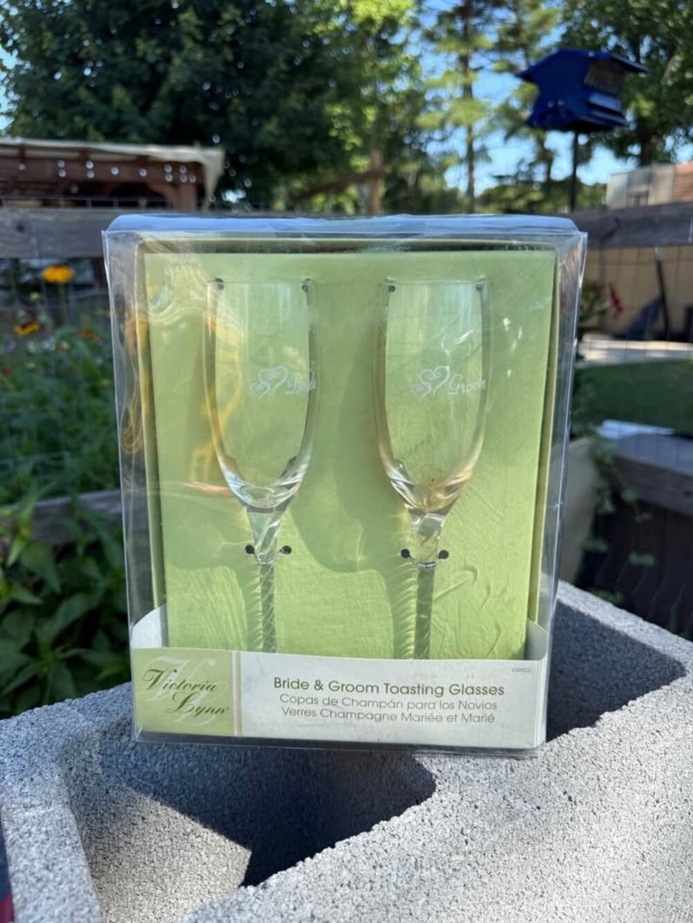Wedding bride and groom toasting glasses.